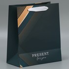 Пакет подарочный ламинированный двухсторонний, упаковка, Present for you, ML 23 х 27 х 11,5 см 7992171 - фото 16327276