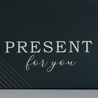 Пакет подарочный ламинированный двухсторонний, упаковка, Present for you, ML 23 х 27 х 11,5 см 7992171 - фото 16327279