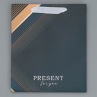 Пакет подарочный ламинированный двухсторонний, упаковка, Present for you, ML 23 х 27 х 11,5 см 7992171 - фото 16327281