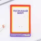 Подарочный набор на выпускной брелок и ручка-флажок «Выпускнику» - фото 9201879