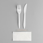 Набор биоразлагаемых приборов "Вилка, нож, зубочистка, салф. бум." - Фото 2