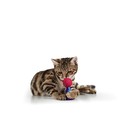 Игрушка для кошек "Пружинистый смайл", 4 см, микс цветов - фото 9201925