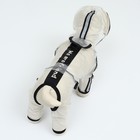 Дождевик - комбинезон для собак, размер 3XL, ДС 46, ОГ 71.5, ОШ 51 см, вес 20-26 кг, прозрачный - Фото 4