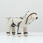 Дождевик - комбинезон для собак, размер 4XL, ДС 50, ОГ 76.5, ОШ 56 см, вес 26-40 кг, прозрачный - Фото 2