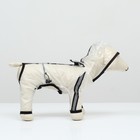 Дождевик - комбинезон для собак, размер 4XL, ДС 50, ОГ 76.5, ОШ 56 см, вес 26-40 кг, прозрачный - Фото 3