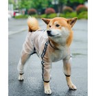 Дождевик-комбинезон для собак, р-р 5ХL (ДС 54, ОГ 81,5, ОШ 61 см, вес 40-50 кг), прозрачный - фото 2861366