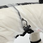 Дождевик - комбинезон для собак, размер 5XL, ДС 54, ОГ 81.5, ОШ 61 см, вес 40-50 кг, прозрачный - Фото 8