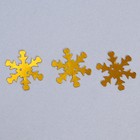 Пайетки «Снег» 20 г, цвет золото, 25 мм - Фото 3