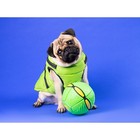 Мяч - фрисби для собак "НЛО" зелёный, 16 см - Фото 7