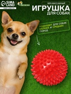 Игрушка для собак «Мяч массажный», 6.8 см, пластикат, цвет МИКС - Фото 1