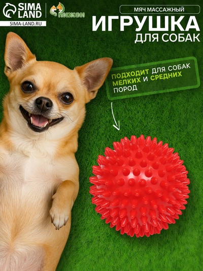 Игрушка для собак «Мяч массажный», 7.5 см, пластикат, цвет МИКС