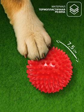 Игрушка «Мяч массажный», пластикат, микс цветов, 7.5 см