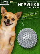 Игрушка для собак «Мяч массажный», 9 см, пластикат, цвет МИКС - Фото 1