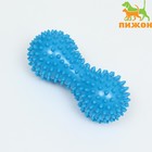 Игрушка «Кость массажная», пластикат, микс цветов, 15 см - Фото 1