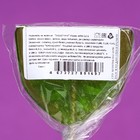 Карамель на палочке «Зубастик», микс, 22 г - Фото 6