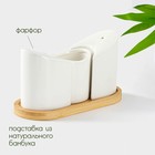 Набор для специй BellaTenero, солонка 60 мл, перечница 60 мл, ёмкость для зубочисток, на бамбуковой подставке, фарфор, белый - Фото 2