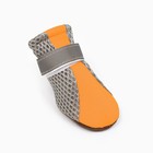 Ботинки для собак «Комфорт +», размер M (4.5×3.6 см), оранжевые - Фото 2