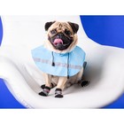 Дождевик для собак, размер XS (ДС 15-20, ОГ 17-22, ОШ 13-17 см), голубой - фото 10433442