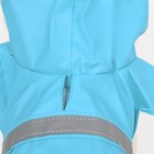 Дождевик для собак, размер XS (ДС 15-20, ОГ 17-22, ОШ 13-17 см), голубой - Фото 6