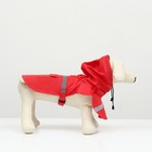 Дождевик для собак, размер S (ДС 20-25, ОГ 25-30, ОШ 17-21 см), красный - Фото 3
