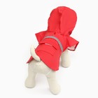 Дождевик для собак, размер S (ДС 20-25, ОГ 25-30, ОШ 17-21 см), красный - Фото 4