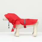 Дождевик для собак, размер S (ДС 20-25, ОГ 25-30, ОШ 17-21 см), красный - фото 6888818