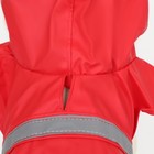 Дождевик для собак, размер S (ДС 20-25, ОГ 25-30, ОШ 17-21 см), красный - Фото 6