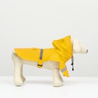 Дождевик для собак, размер М (ДС 25-30, ОГ 33-35, ОШ 21-25 см), жёлтый - Фото 3
