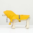 Дождевик для собак, размер М (ДС 25-30, ОГ 33-35, ОШ 21-25 см), жёлтый - Фото 5