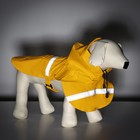 Дождевик для собак, размер М (ДС 25-30, ОГ 33-35, ОШ 21-25 см), жёлтый - Фото 10