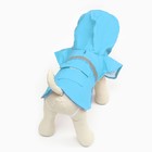 Дождевик для собак, размер М (ДС 25-30, ОГ 33-35, ОШ 21-25 см), микс цветов - Фото 4