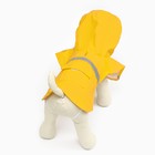 Дождевик для собак, размер L (ДС 30-35, ОГ 38-43, ОШ 26-31 см), жёлтый - Фото 4