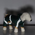 Комбинезон для собак, демисезонный, размер XS (ДС 17-19, Ог 27-29, ОШ 19-21 см), зелёный - Фото 14