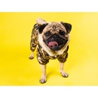 Комбинезон для собак, демисезонный с подкладом, размер ХS (ДС 22, Ог 34 см), камуфляжный - Фото 3