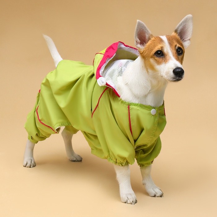 Комбинезон для собак, демисезонный, размер XS, ДС 21, Ог 29, ОШ 19 см, с сумкой, салатовый - Фото 1