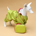 Комбинезон для собак, демисезонный, размер XS, ДС 21, Ог 29, ОШ 19 см, с сумкой, салатовый - Фото 5