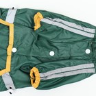 Комбинезон для собак, демисезонный, размер S (ДС 21-23, Ог 31-33, ОШ 23-25 см), зелёный - Фото 11