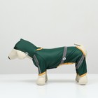 Комбинезон для собак, демисезонный, размер S (ДС 21-23, Ог 31-33, ОШ 23-25 см), зелёный - Фото 5