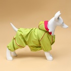 Комбинезон для собак, демисезонный с сумкой, размер S (ДС 25, Ог 33, ОШ 23 см), салатовый - Фото 3