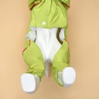 Комбинезон для собак, демисезонный с сумкой, размер S (ДС 25, Ог 33, ОШ 23 см), салатовый - Фото 4