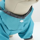 Комбинезон для собак, демисезонный с козырьком, размер S (ДС 28, Ог 41, ОШ 31 см), голубой - Фото 9