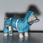 Комбинезон для собак, демисезонный с козырьком, размер М (ДС 32, Ог 45, ОШ 35 см), голубой - Фото 14