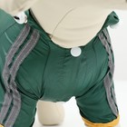 Комбинезон для собак, демисезонный, размер L (ДС 28-30, Ог 43-45, ОШ 31-33 см), зелёный - Фото 10