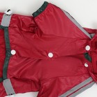 Комбинезон для собак, демисезонный, размер L (ДС 28-30, Ог 43-45, ОШ 31-33 см), красный - Фото 11