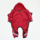 Комбинезон для собак, демисезонный, размер L (ДС 28-30, Ог 43-45, ОШ 31-33 см), красный - Фото 12