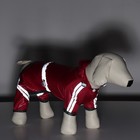 Комбинезон для собак, демисезонный, размер L (ДС 28-30, Ог 43-45, ОШ 31-33 см), красный - Фото 14