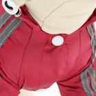 Комбинезон для собак, демисезонный, размер L (ДС 28-30, Ог 43-45, ОШ 31-33 см), красный - Фото 9