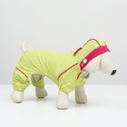 Комбинезон для собак, демисезонный с сумкой, размер L (ДС 33, Ог 45, ОШ 30 см), салатовый - Фото 2