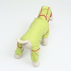 Комбинезон для собак, демисезонный с сумкой, размер L (ДС 33, Ог 45, ОШ 30 см), салатовый - Фото 4