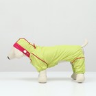 Комбинезон для собак, демисезонный с сумкой, размер L (ДС 33, Ог 45, ОШ 30 см), салатовый - Фото 5